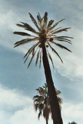 Film_48_02